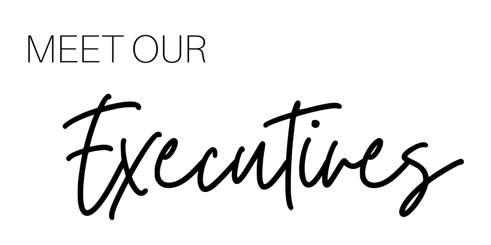 Meet Our Executives