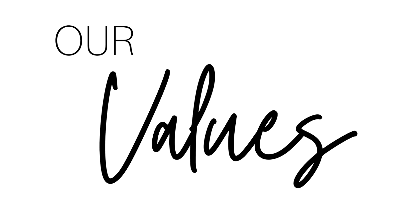 Our Values